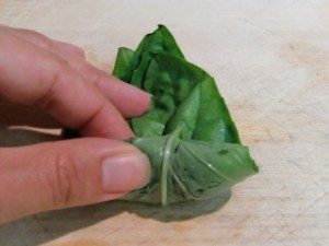 Fresh Chicken Spring Roll w/Shallot Spinach Sauce