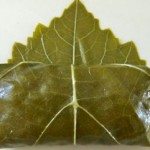 Choose your Rice Stuffed Grape Leaves