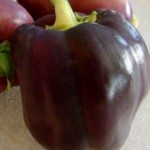 Recipe - Purple & Red Bell Pepper Ranch Salad