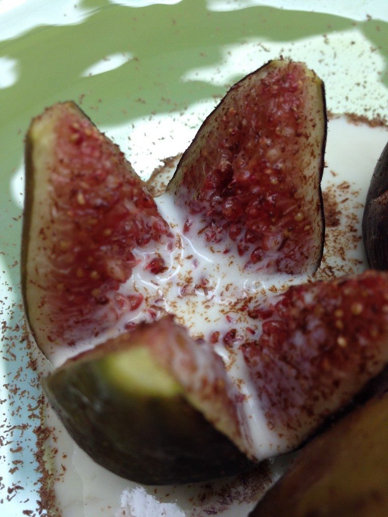 Honey Broiled Figs with Vanilla Honey Yogurt