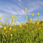 Inspiration - Negative Experiences Inspiration - Negative Experiences