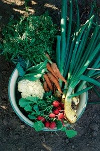 Helping Kids Eat More Green Stuff Helping Kids Eat More Green Stuff