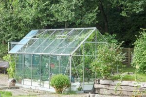 glass-for-greenhouses-dans-glass-e1470095766825