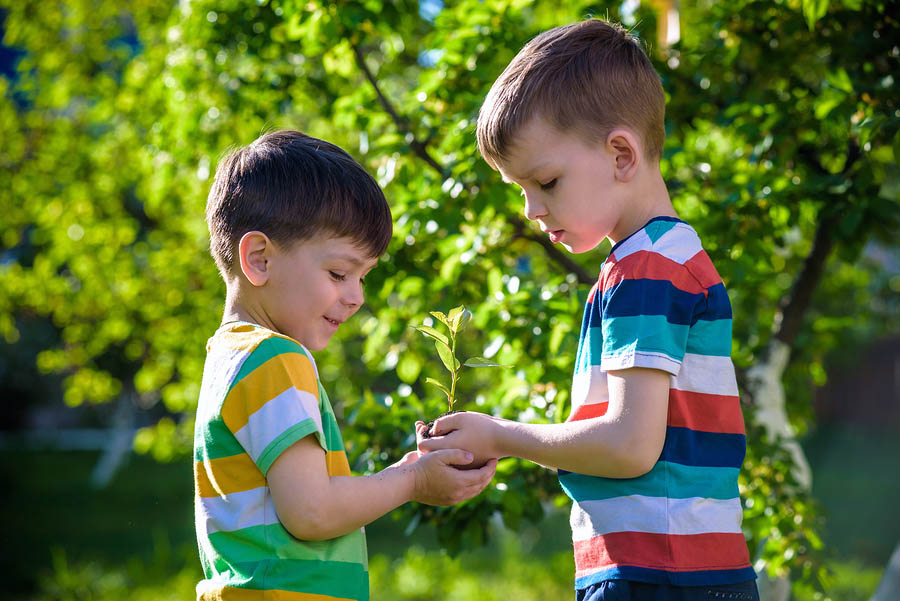 Safe Fun Montessori Preschool-Inspired Activities to Play Outside - montessori primary program - Montessori West